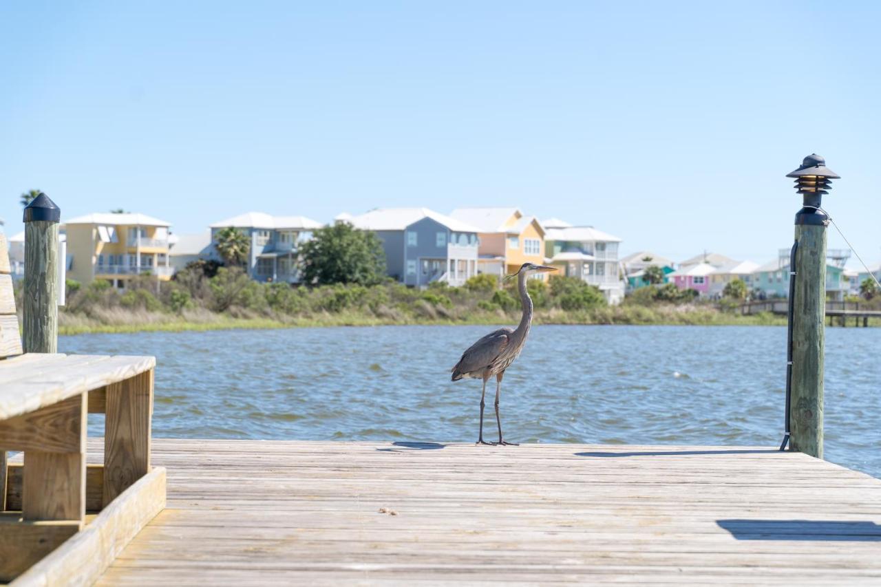 Compass Point 310 Διαμέρισμα Gulf Shores Εξωτερικό φωτογραφία